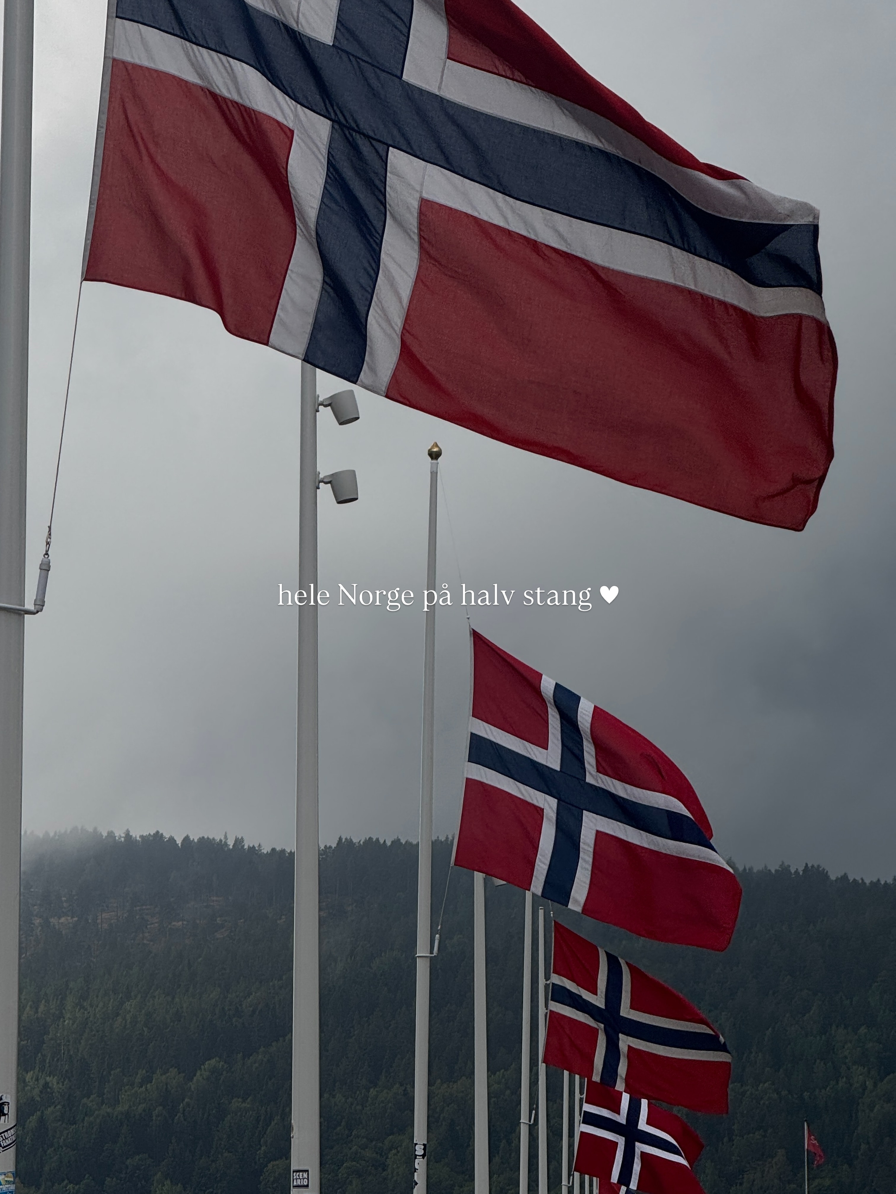 En siste hilsen til Kong Harald ♥️
Han var et forbilde for en hel nasjon, og ikke minst for norske menn. Måten han snak