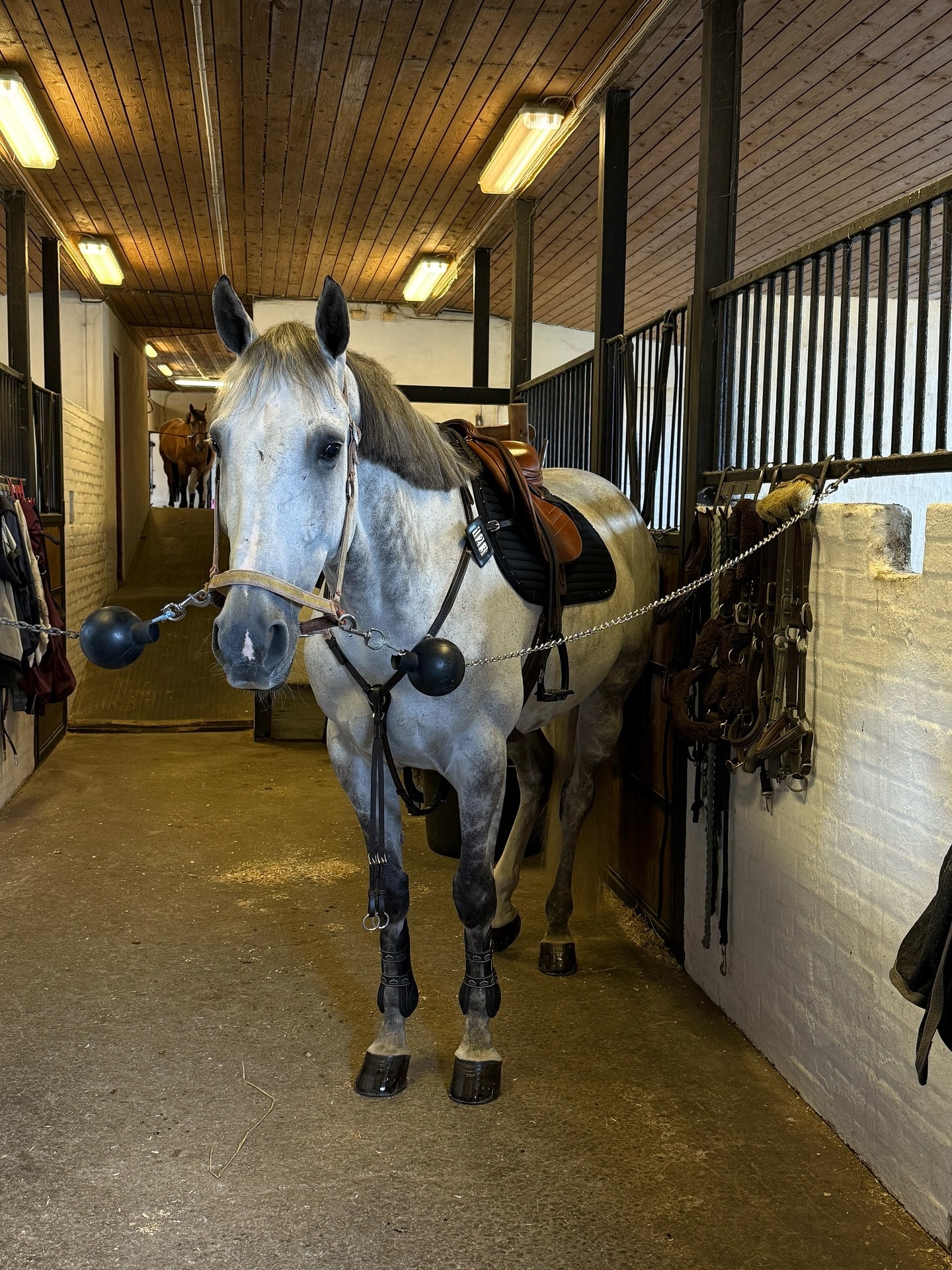 after almost 18 years in the saddle, it’s now my turn to put away my helmet and boots for a while due to my studies ❤️�